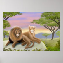 African Lions Poster