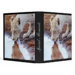 African Lions reflection binders