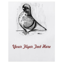 African Owl Pigeon 1978 Flyers