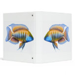 African Peacock Cichlid Avery Binder