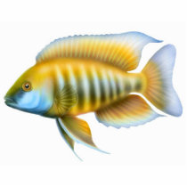African Peacock Cichlid Holiday Ornament photo sculptures by twopurringcats African Peacock Cichlid Holiday Ornament photo sculptures
