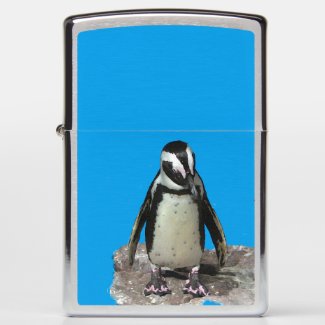 African Penguin Black and White Bird Zippo Lighter