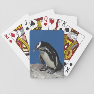 African Penguin Playing Cards