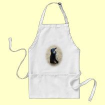 African penguin standing on sand aprons