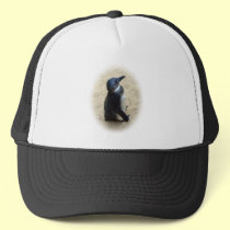 African penguin standing on sand hats
