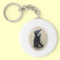 African penguin standing on sand keychains