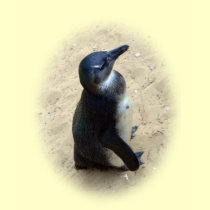 African penguin standing on sand t-shirts