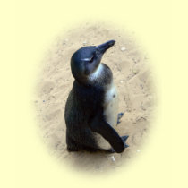 African penguin standing on sand t-shirts
