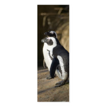 African Penguins • Bookmark / Business Card business cards by SabineSt African Penguins • Bookmark / Business Card business cards