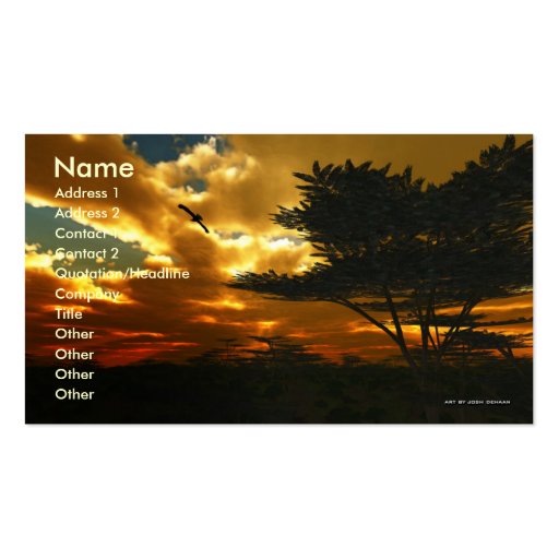 African Planes Business Card Template (front side)