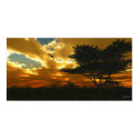 African Planes - Extreme posters by 3dartwork African Planes - Extreme posters