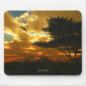 African Planes mousepads