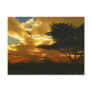 African Planes Postcard