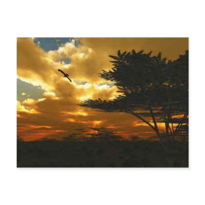 African Planes Postcard by 3dartwork