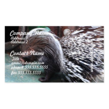 African Porcupine Business Cards