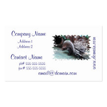 African Porcupine Business Cards