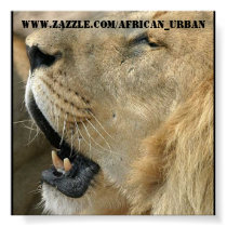 african poster posters