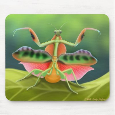 African Praying Mantis Mousepad by twopurringcats