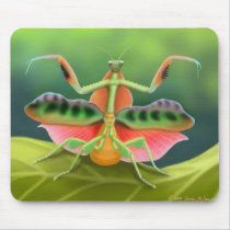 African Praying Mantis Mousepad