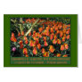 African proverb and flame tulips card