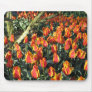 African proverb and flame tulips mouse pad