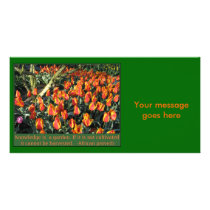 African Proverb photo cards