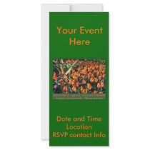 African Proverb rack cards