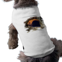 African Pygmy Angle pet clothing by H2Oasis African Pygmy Angle pet clothing