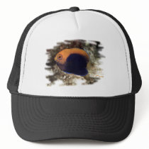 African Pygmy Angle hats