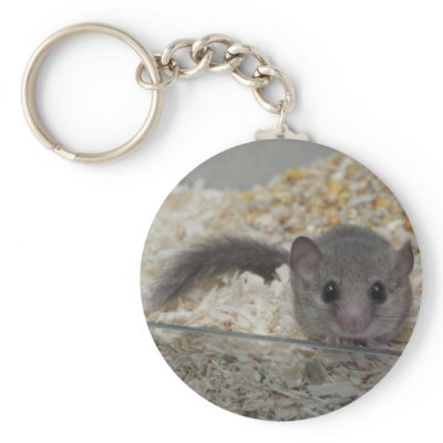 African Pygmy Dormouse Keyring Key Chains by Tammy_25