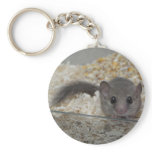 African Pygmy Dormouse Keyring keychains