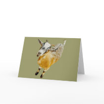 African Pygmy Goat cards