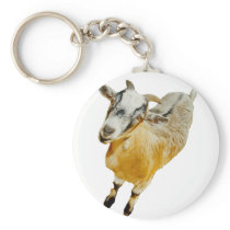 African Pygmy Goat Keychains