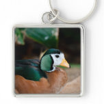 African Pygmy Goose keychains