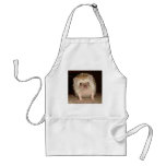 African Pygmy Hedgehog aprons