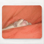 African Pygmy Hedgehog Mouse Mat
