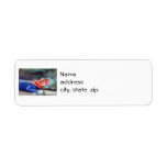 African Rainbow Lizard Return Address Labels
