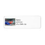 African Rainbow Lizard Return Address Labels