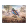 African Roller Postcard
