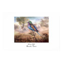 African Roller Poster posters
