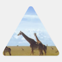 African Safari Giraffes Triangle Stickers