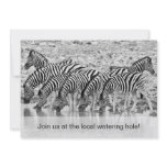 African Safari Zebra Funny Birthday Invitation