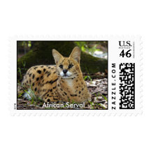 African Serval Stamp