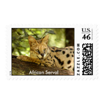 African Serval Stamp