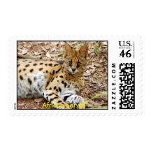 African Serval Stamp