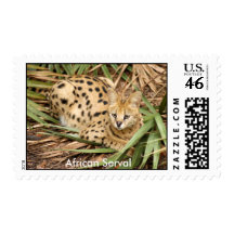 African Serval Stamp, African Serval