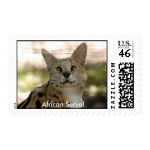 African Serval Stamp, African Serval