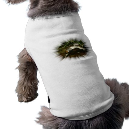 African Side Necked Turtle in a burst frame Dog T-shirt
