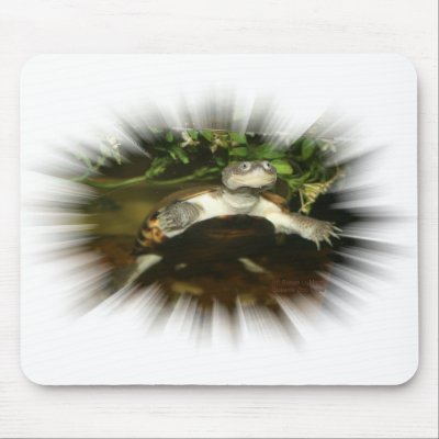 African Side Necked Turtle in a burst frame Mouse Pad by SusansZooCrew
