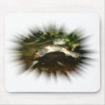 African Side Necked Turtle in a burst frame Mouse Pad